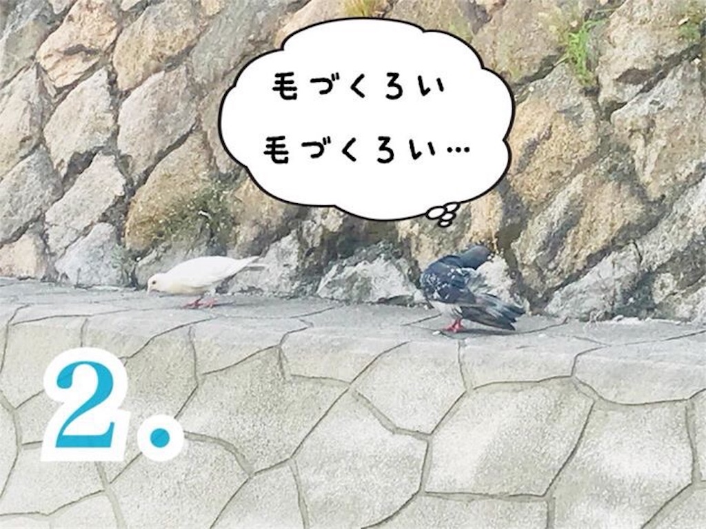 f:id:garajimajon:20180819233700j:image:w250 f:id:garajimajon:20180819233700j:image:w250