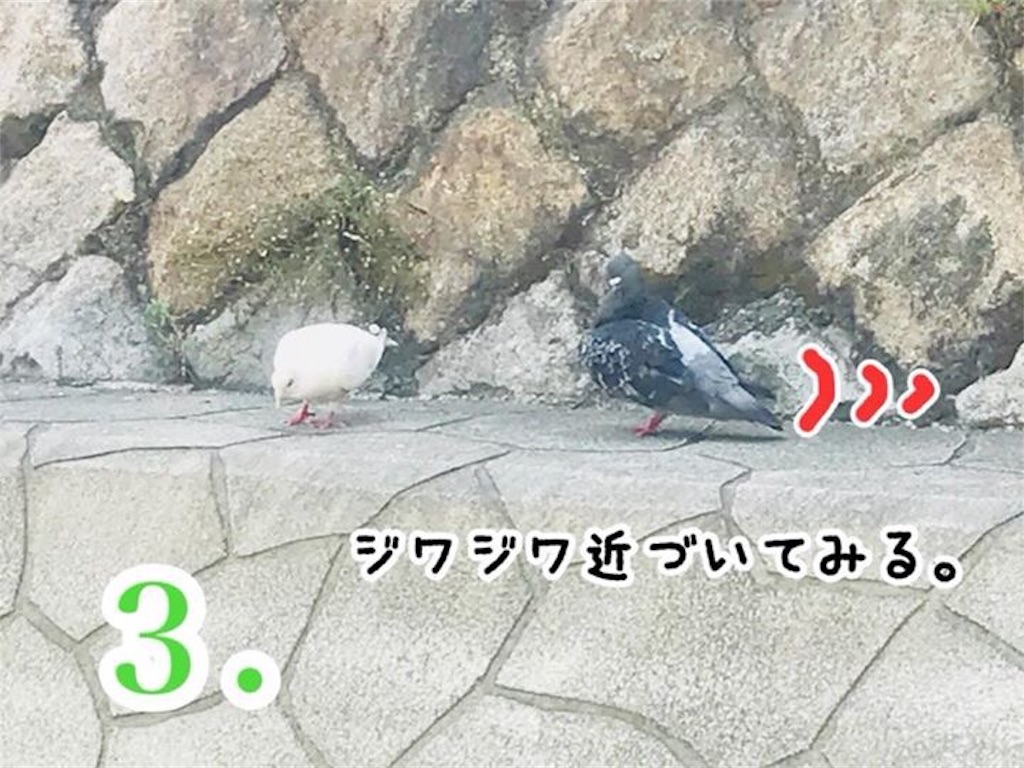 f:id:garajimajon:20180819233705j:image:w250 f:id:garajimajon:20180819233705j:image:w250