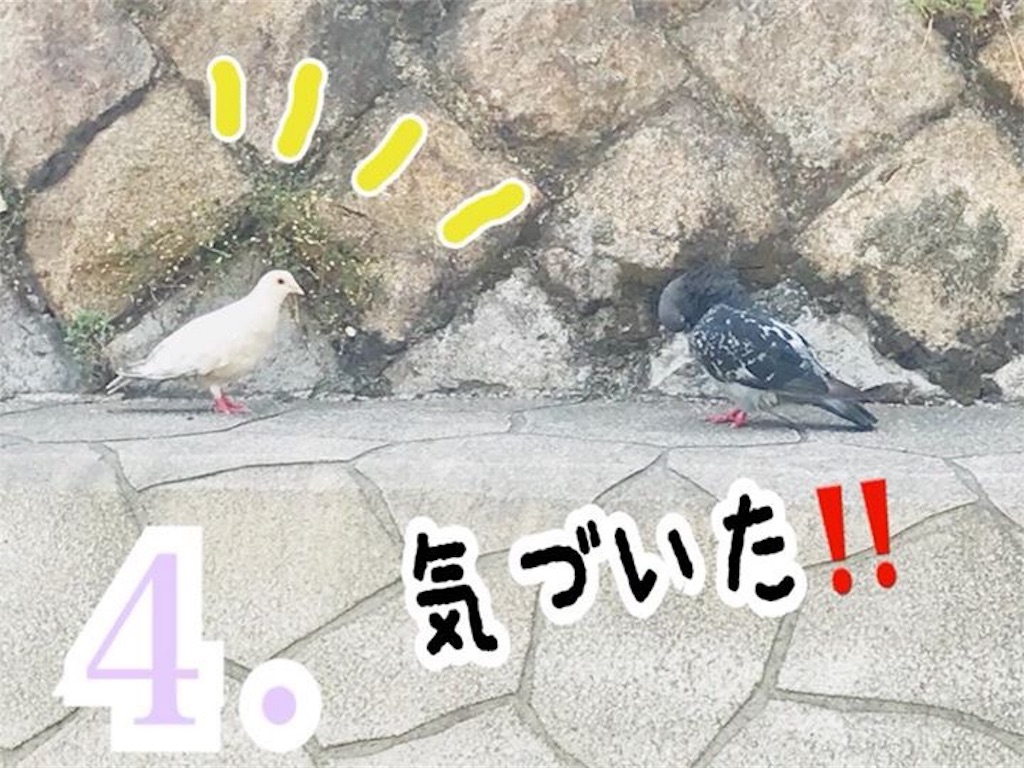 f:id:garajimajon:20180819233710j:image:w250 f:id:garajimajon:20180819233710j:image:w250