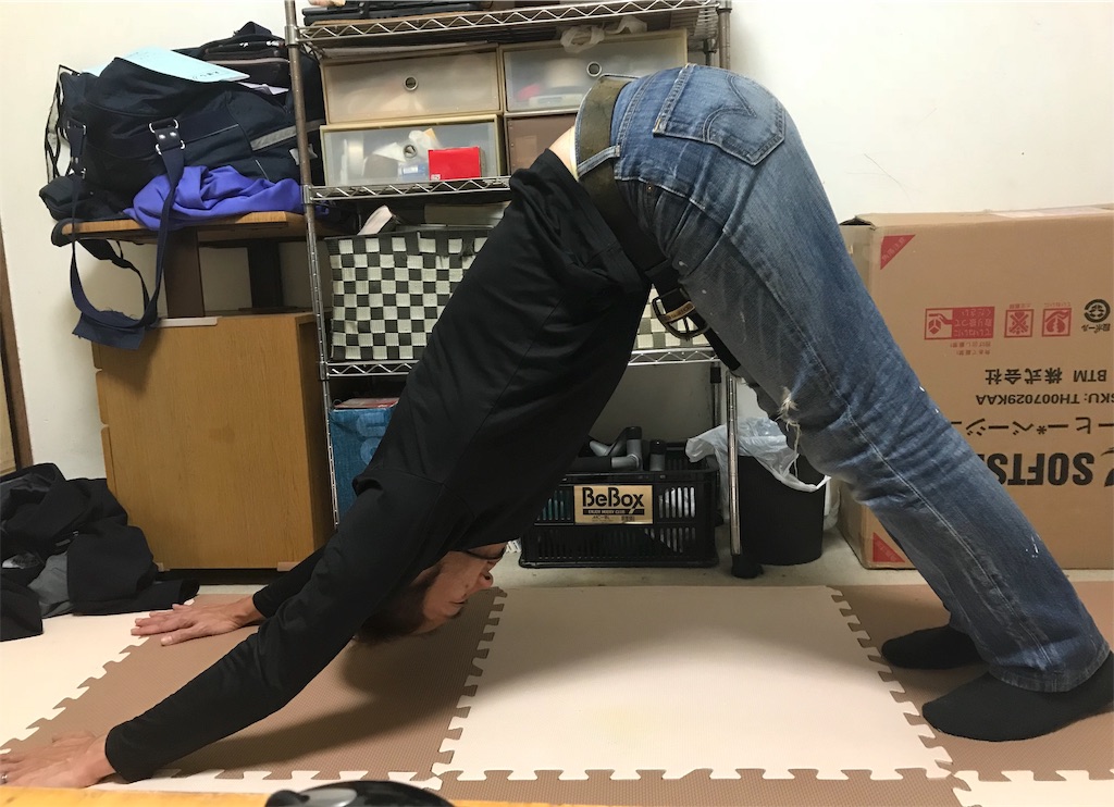 f:id:garajimajon:20181113230834j:image:w300