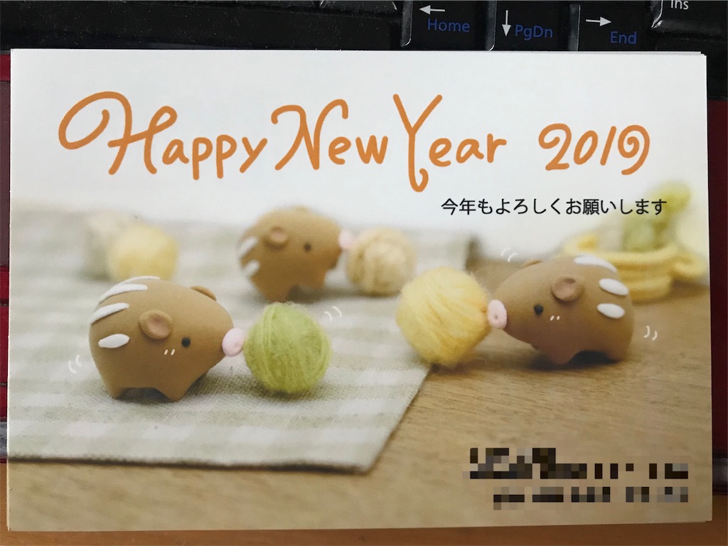f:id:garajimajon:20181231223711j:image:w300