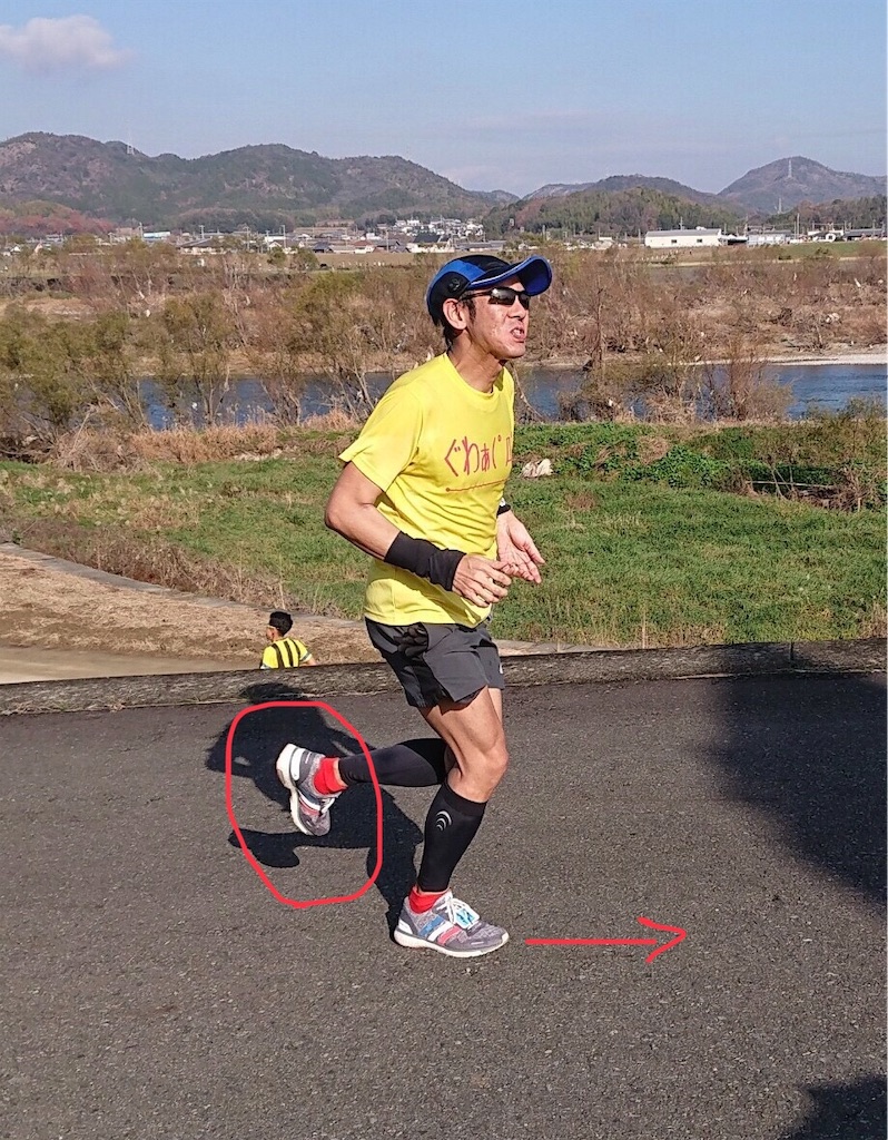 f:id:garajimajon:20190108005651j:image:w200 f:id:garajimajon:20190108005651j:image:w200