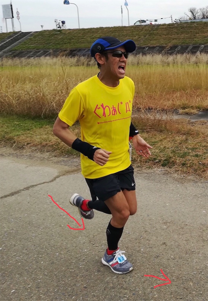 f:id:garajimajon:20190108005912j:image:w200 f:id:garajimajon:20190108005912j:image:w200