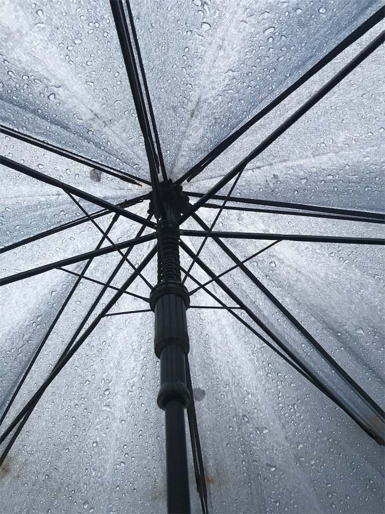 f:id:garajimajon:20190415215908j:image:w200