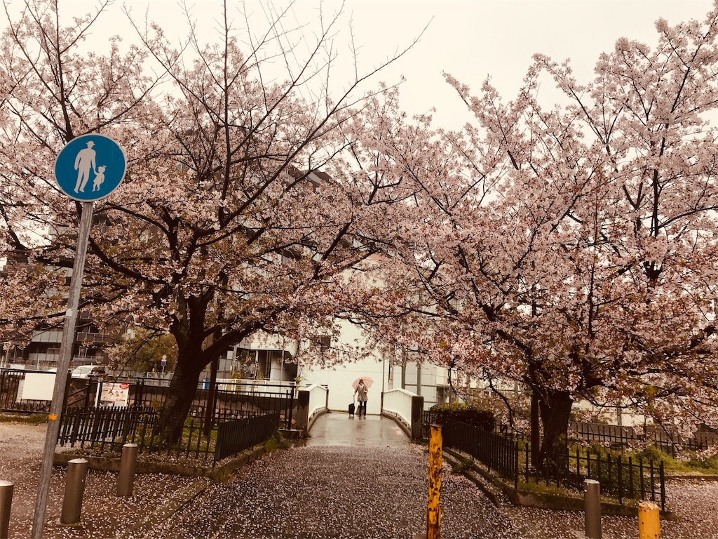 f:id:garajimajon:20190415221610j:image:w300