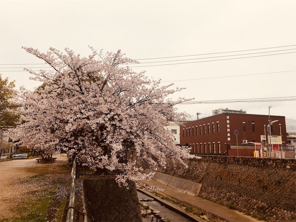 f:id:garajimajon:20190415221635j:image:w300