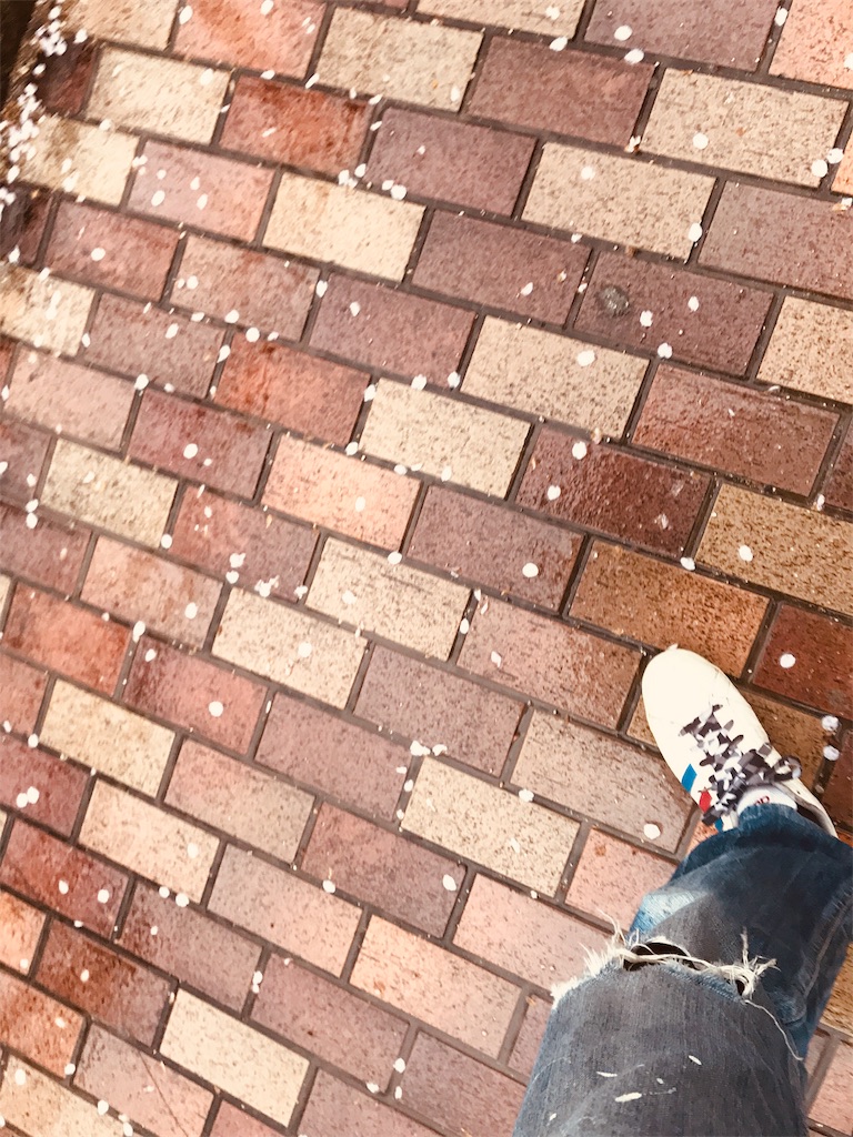 f:id:garajimajon:20190415221701j:image:w200