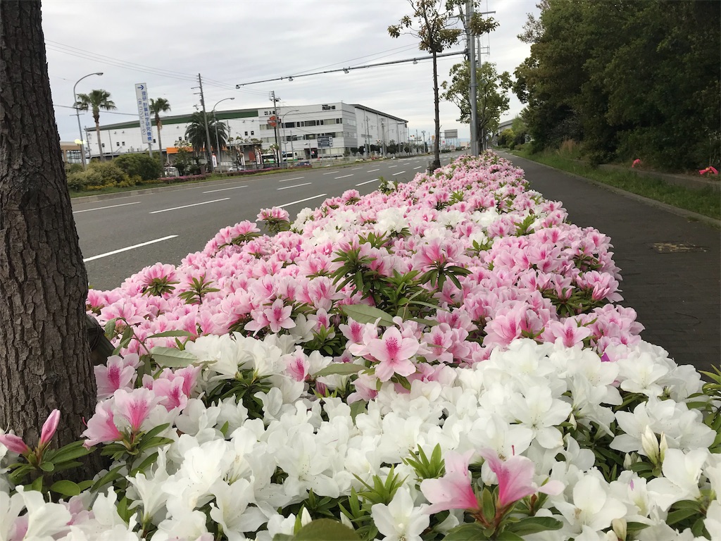 f:id:garajimajon:20190428231323j:image:w300 f:id:garajimajon:20190428231323j:image:w300