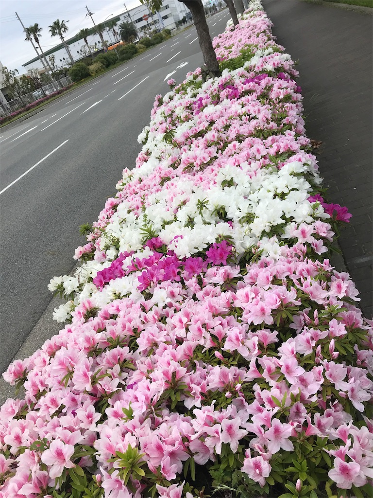 f:id:garajimajon:20190428231403j:image:w200 f:id:garajimajon:20190428231403j:image:w200