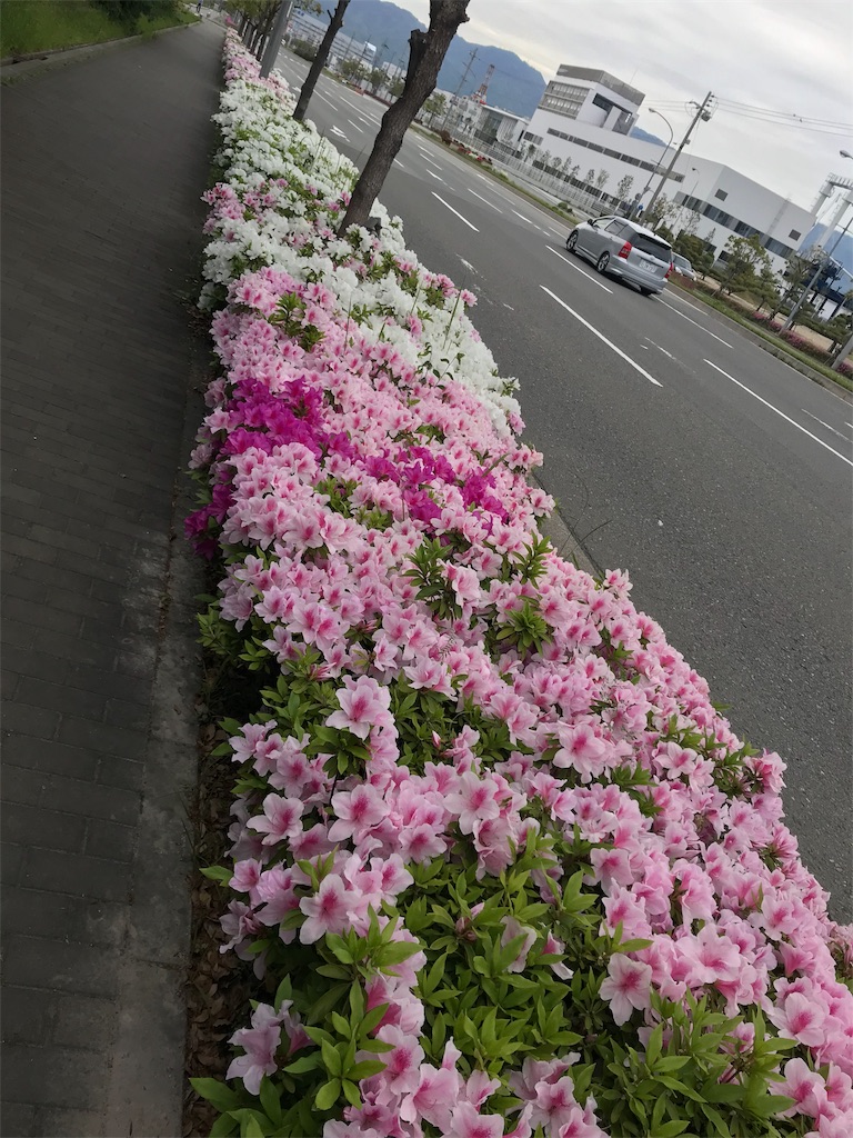 f:id:garajimajon:20190428231416j:image:w200 f:id:garajimajon:20190428231416j:image:w200