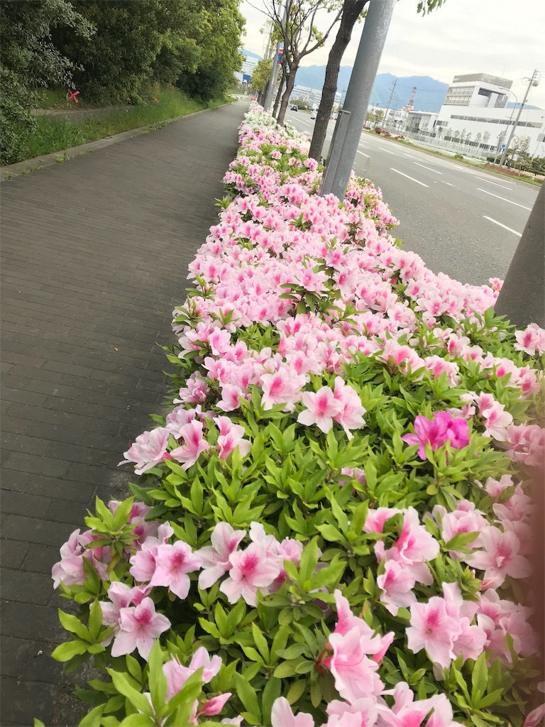 f:id:garajimajon:20190428233632j:image:w200 f:id:garajimajon:20190428233632j:image:w200