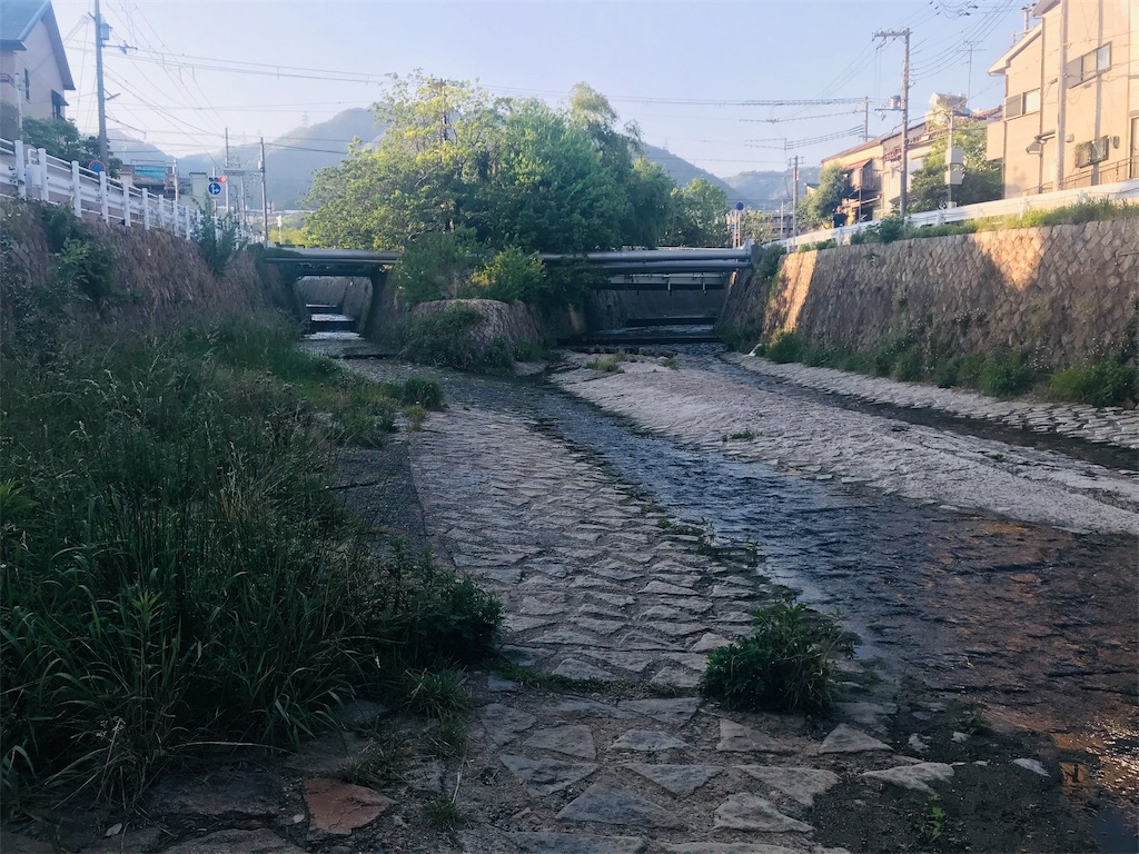 f:id:garajimajon:20190512011807j:image:w300