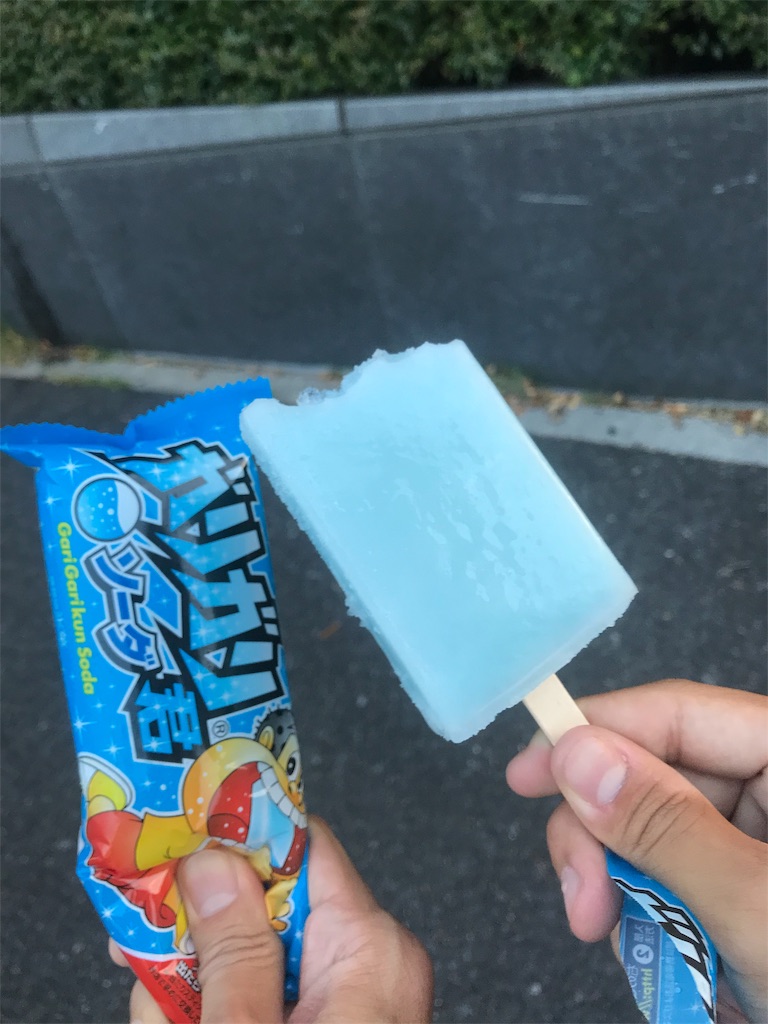 f:id:garajimajon:20190512220539j:image:w200 f:id:garajimajon:20190512220539j:image:w200