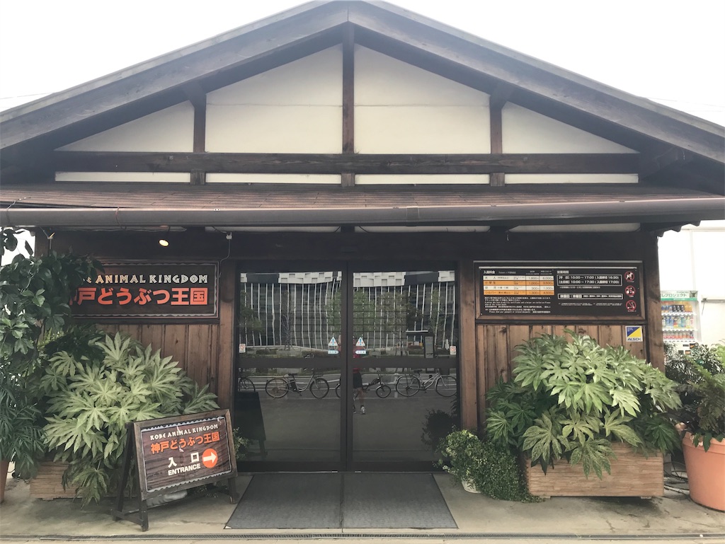f:id:garajimajon:20190518215559j:image:w300