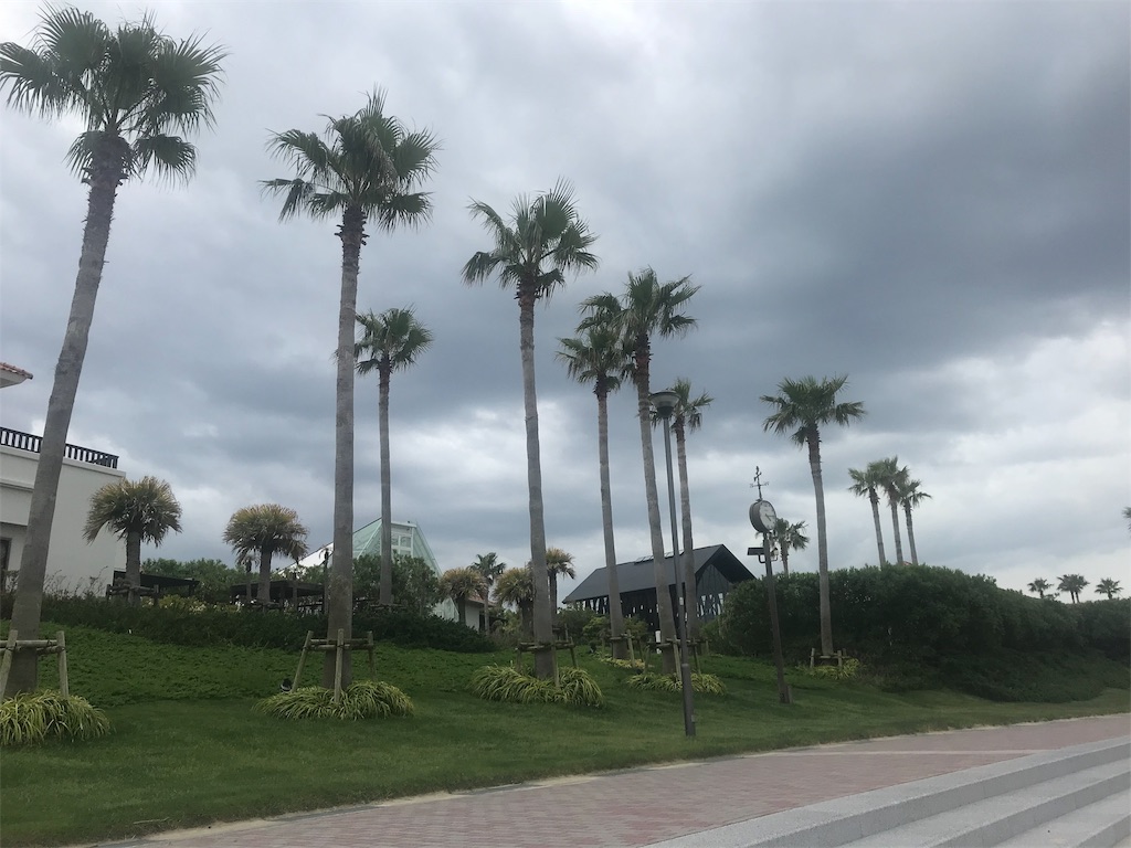 f:id:garajimajon:20190518215925j:image:w300