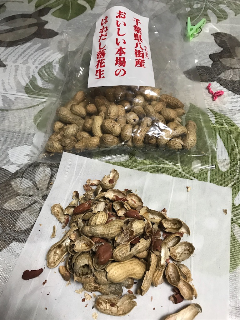 f:id:garajimajon:20190816033417j:image:w250