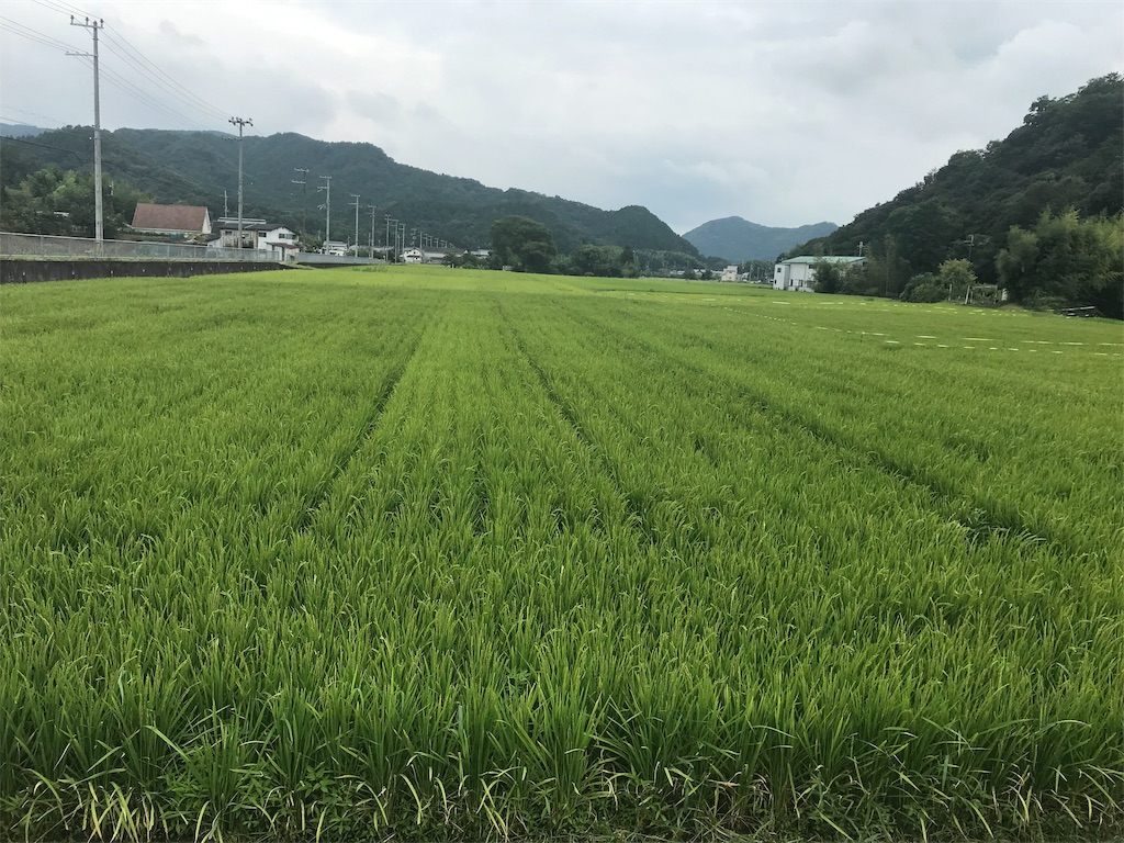 f:id:garajimajon:20190823231653j:image:w300