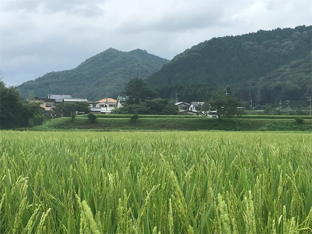 f:id:garajimajon:20190823231706j:image:w300