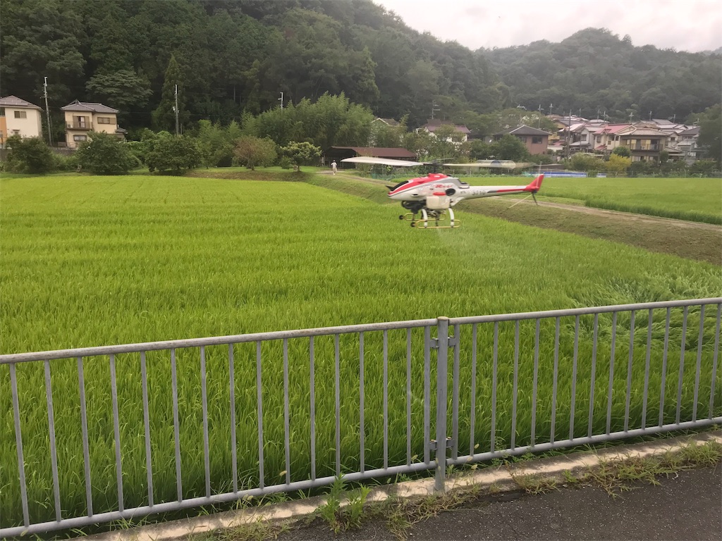 f:id:garajimajon:20190823231832j:image:w300
