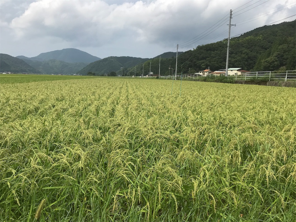 f:id:garajimajon:20190823232022j:image:w300