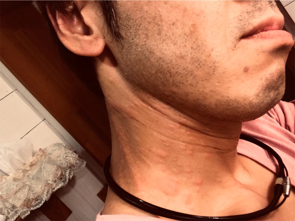 f:id:garajimajon:20191005023524j:image:w250