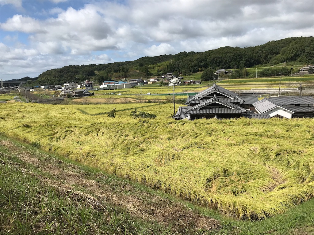 f:id:garajimajon:20191008020308j:image:w300