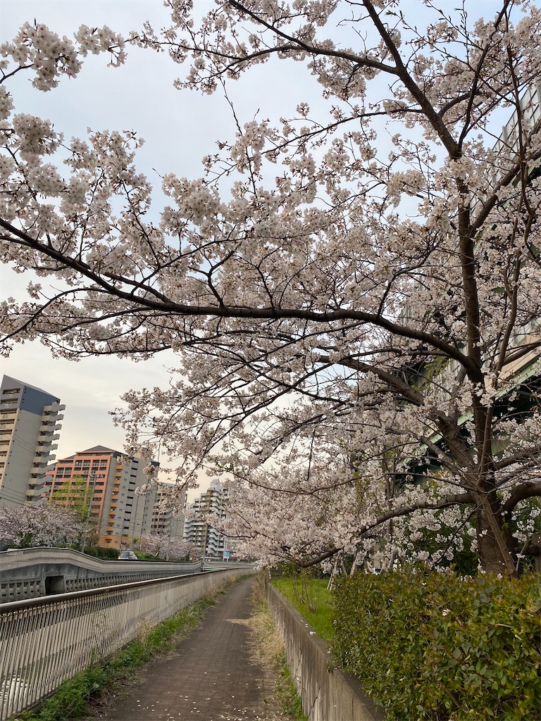 f:id:garajimajon:20200404003412j:image:w300