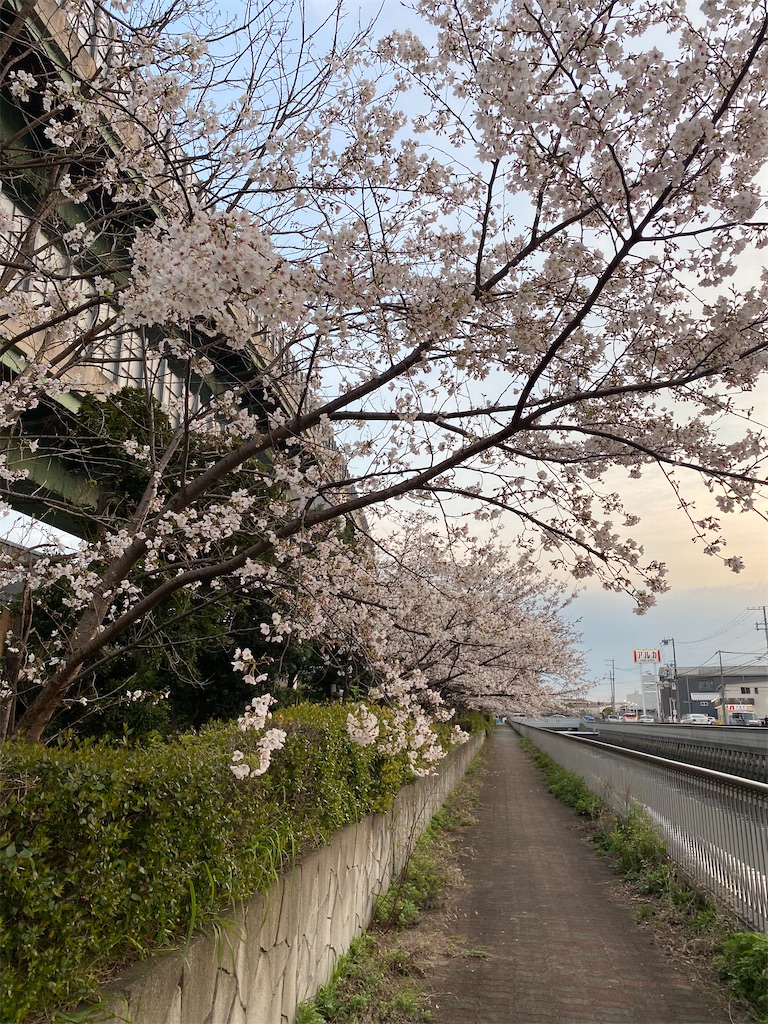 f:id:garajimajon:20200404003652j:image:w300