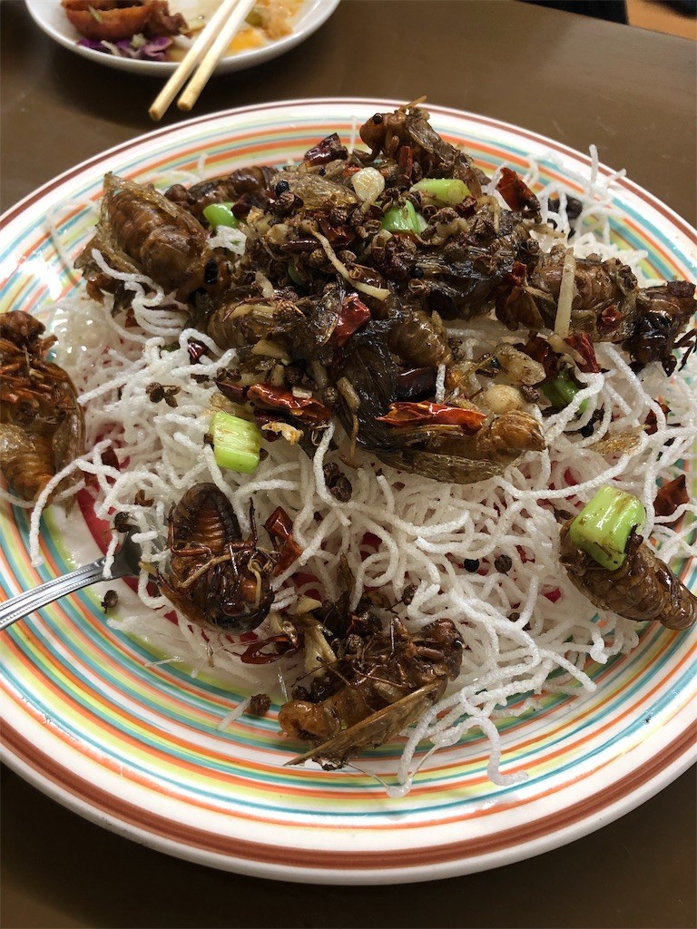 f:id:garamumasala1217:20190912034759j:image f:id:garamumasala1217:20190912034759j:image
