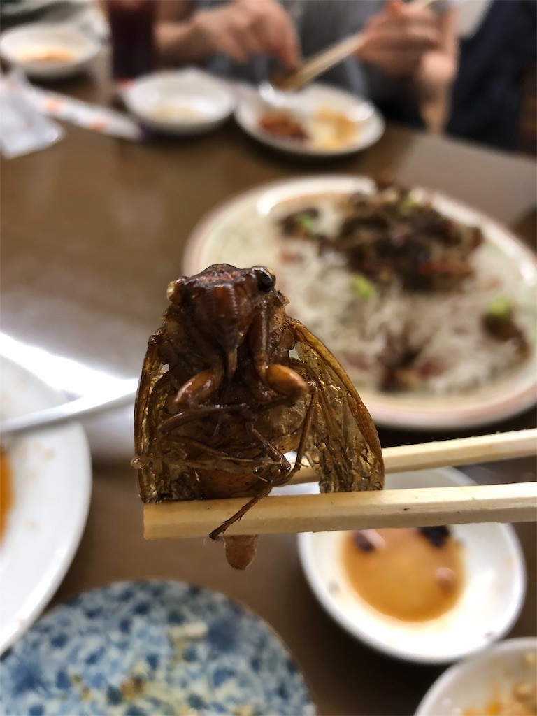 f:id:garamumasala1217:20190912041039j:image f:id:garamumasala1217:20190912041039j:image