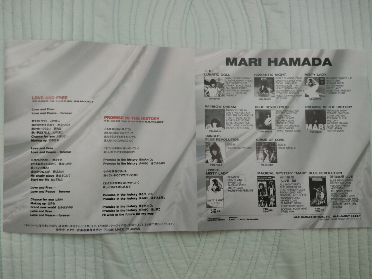 浜田麻里 【6枚】TE1124-13 LPレコード backend=imagemagick;version=1;
