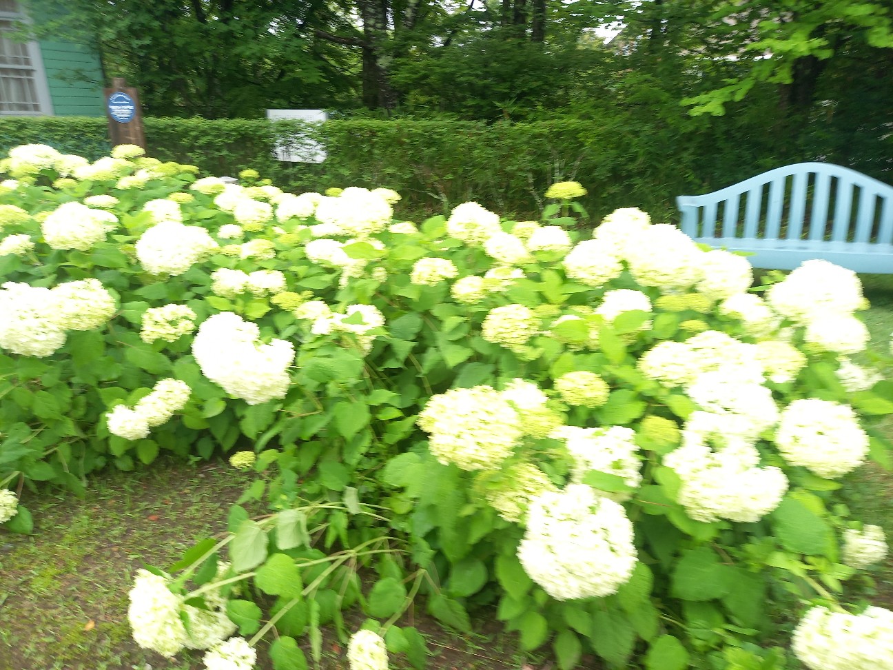 f:id:garasann:20260704085636j:image
