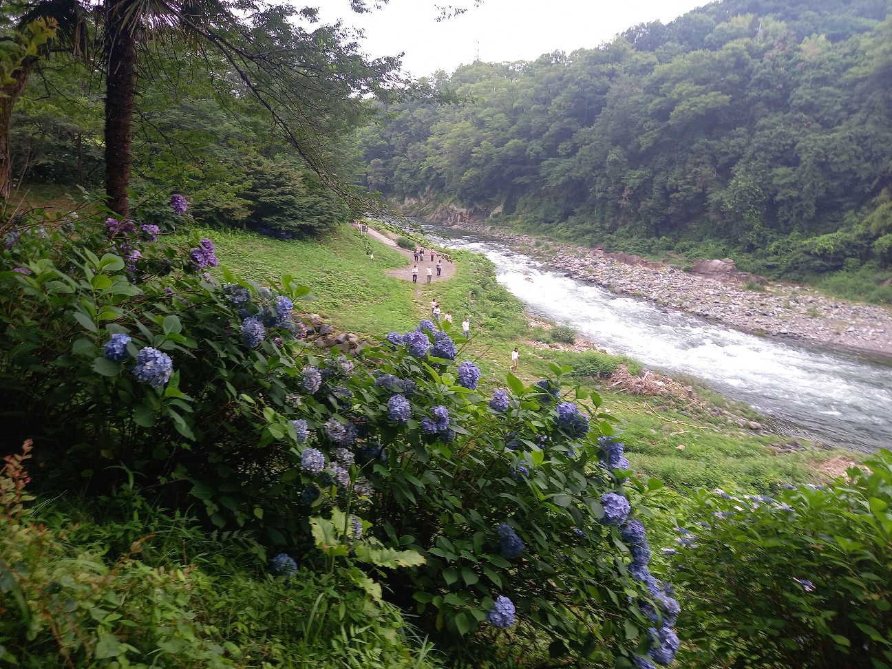 f:id:garasann:20260707074052j:image
