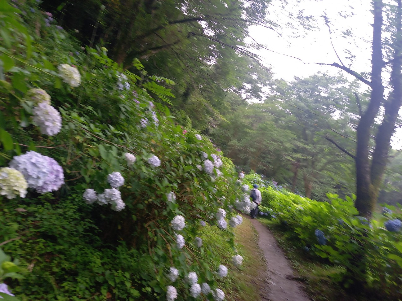 f:id:garasann:20260707074127j:image