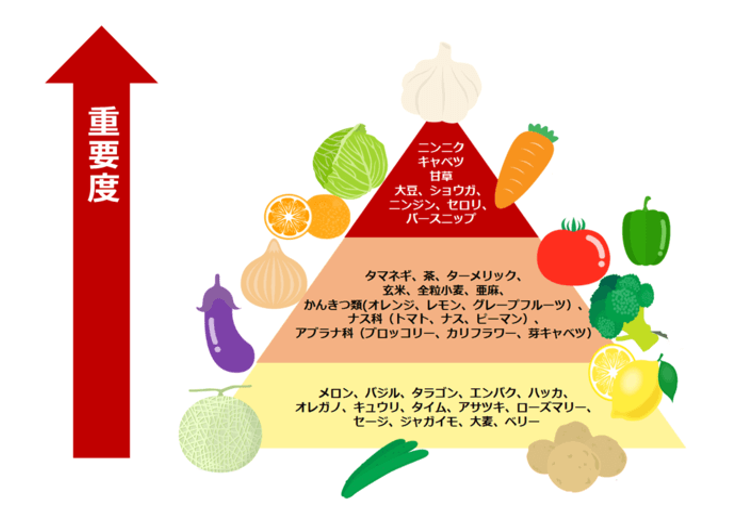 f:id:garasusyokunin:20210223191136p:plain
