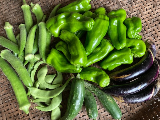 f:id:garden19:20220920120329j:image