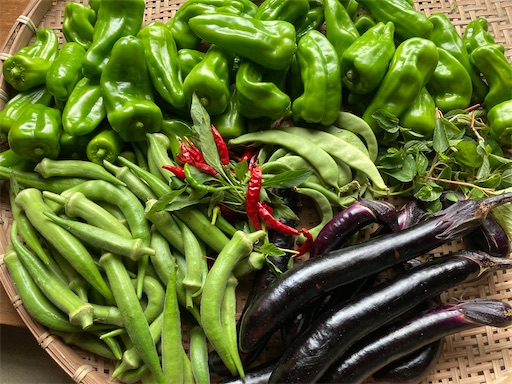 f:id:garden19:20221006075613j:image