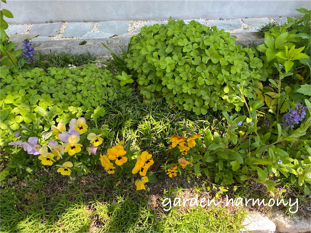 f:id:gardenharmony:20250501230355j:image