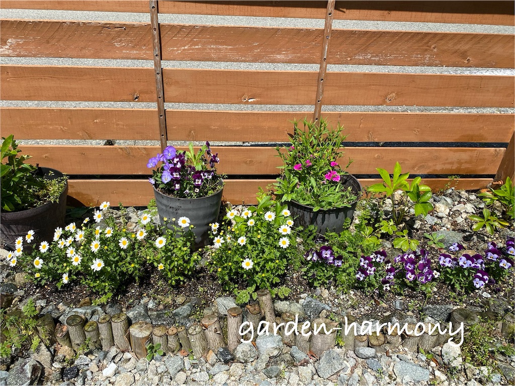 f:id:gardenharmony:20250501230404j:image