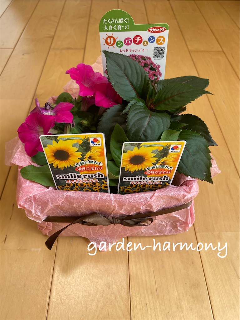 f:id:gardenharmony:20250512213440j:image