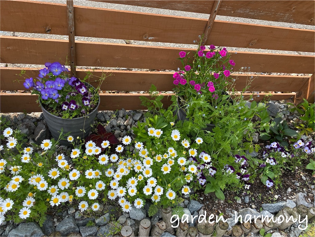 f:id:gardenharmony:20250515163217j:image