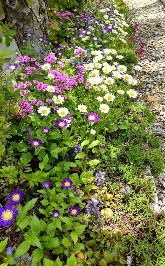 f:id:gardenharmony:20250524064706j:image