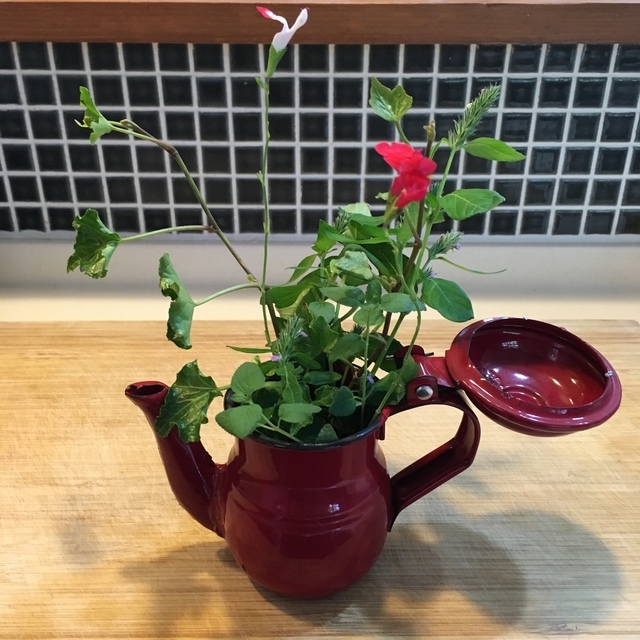 f:id:gardentheater:20191206172629j:plain f:id:gardentheater:20191206172629j:plain