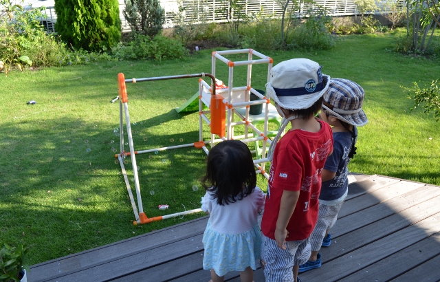 f:id:gardentime:20170528154312j:plain f:id:gardentime:20170528154312j:plain