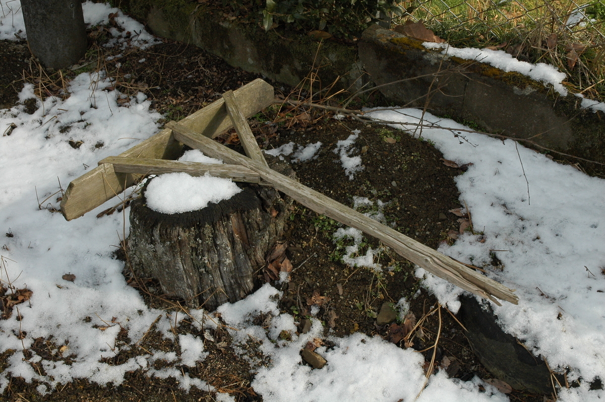 f:id:gari2:20100203134736j:plain