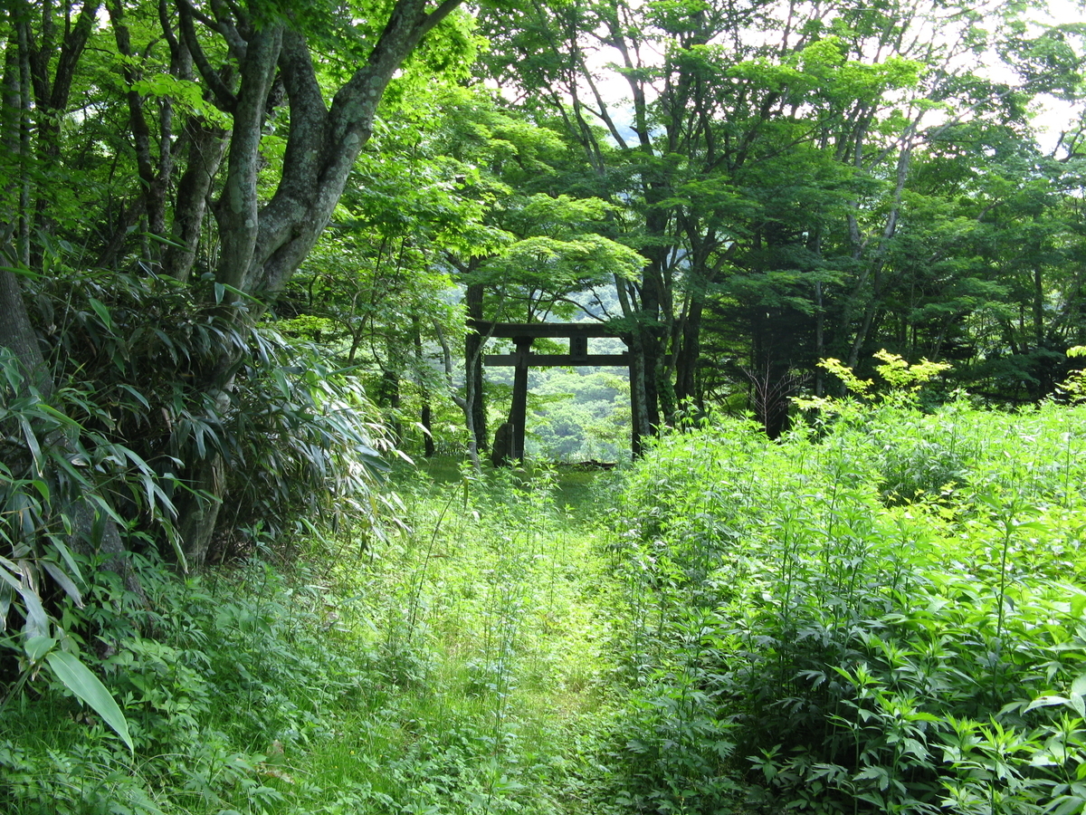 f:id:gari2:20110715101005j:plain