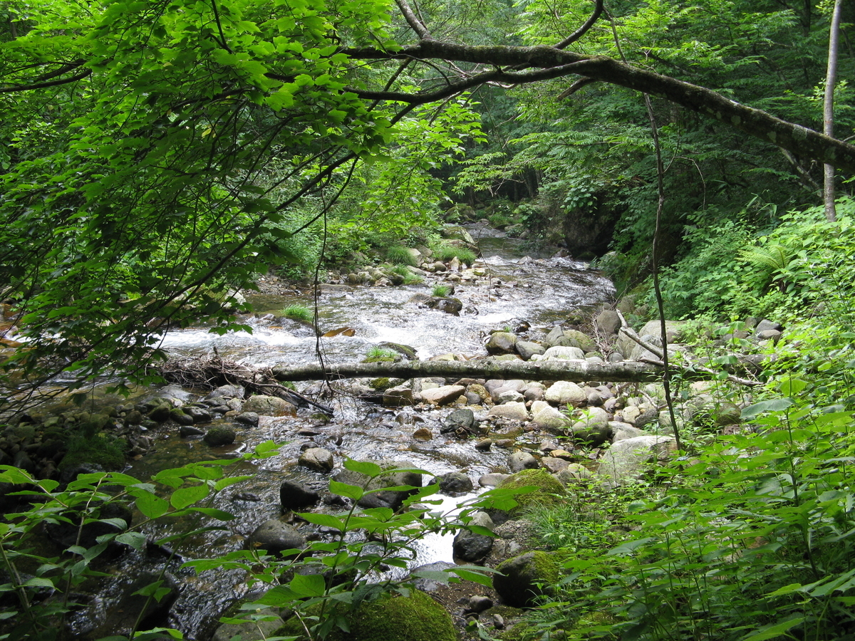 f:id:gari2:20110715102858j:plain