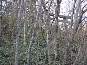 f:id:gari2:20140907100456j:plain