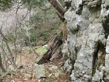 f:id:gari2:20140920095518j:plain f:id:gari2:20140920095518j:plain