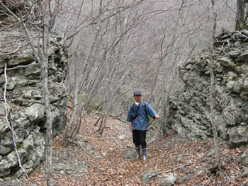 f:id:gari2:20140920095908j:plain f:id:gari2:20140920095908j:plain